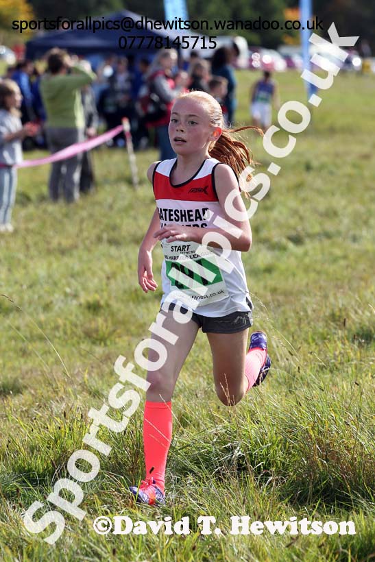 Girls under-13s, North East Harrier League, Cramlington. Photo: David T. Hewitson/Sports for All Pics